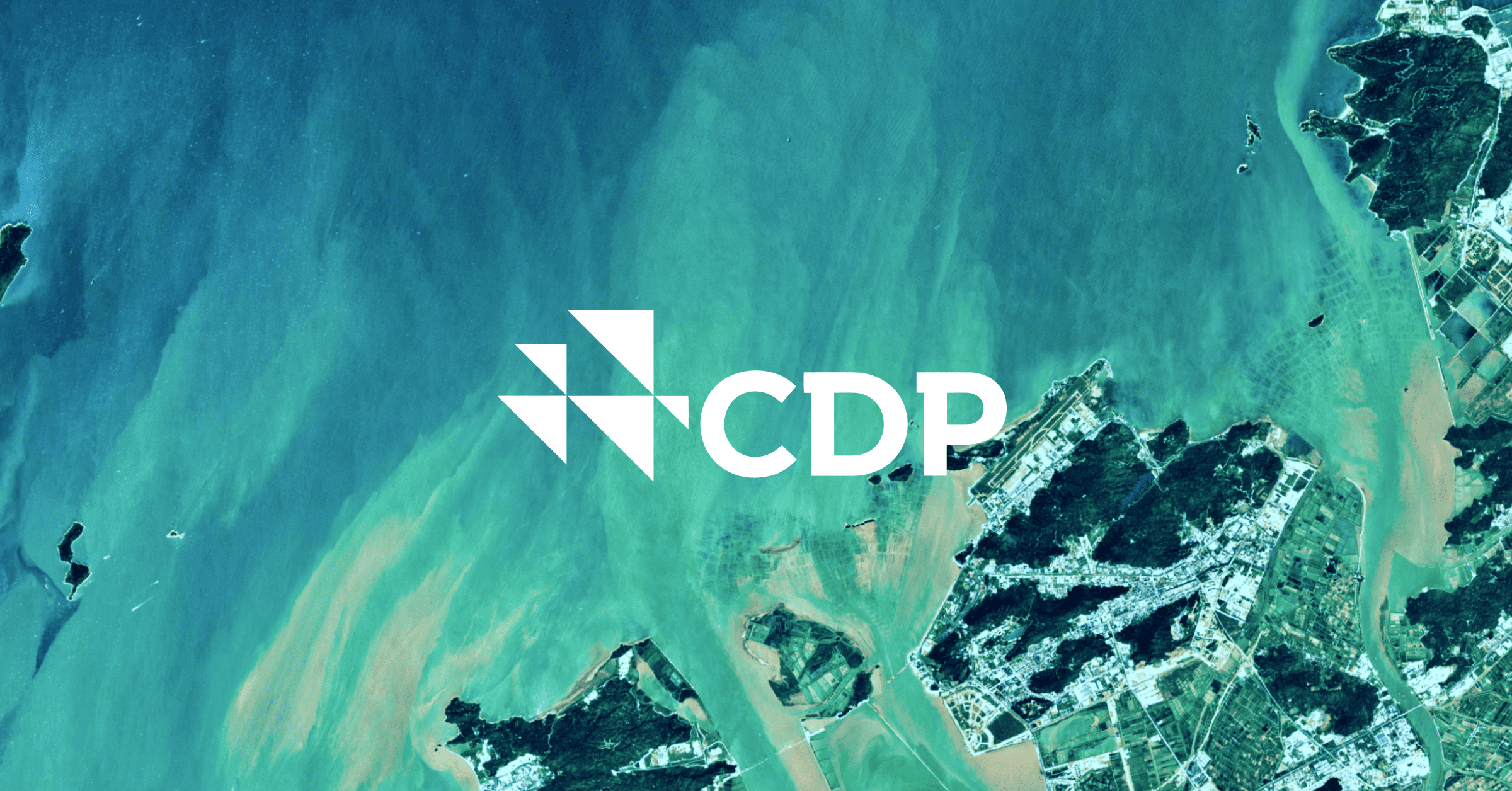 6 practical ways to increase your cdp score emitwise